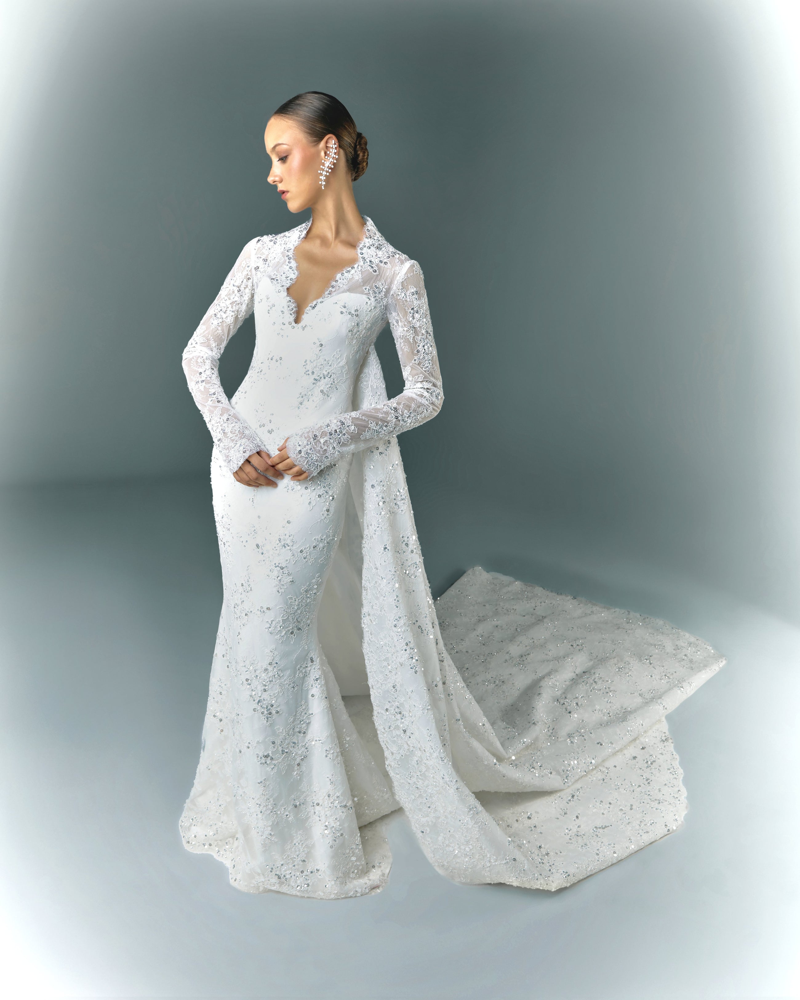 Lace Embroidered Wedding Dress With Sleeves